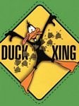 pic for duck xing